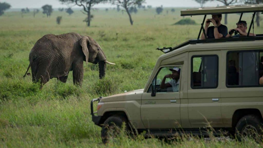 How to prepare for a Tanzania safari tours