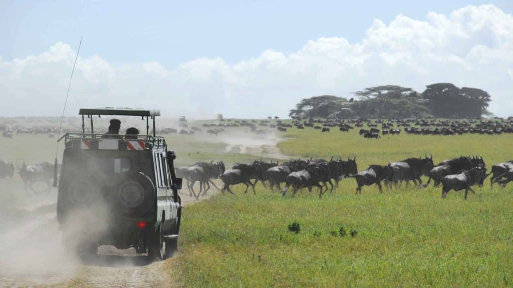 How Many Days to Spend on Safari Tanzania