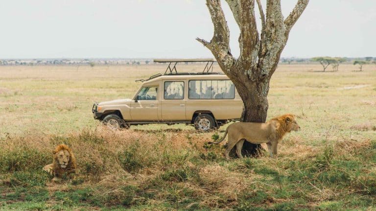 Serengeti national park