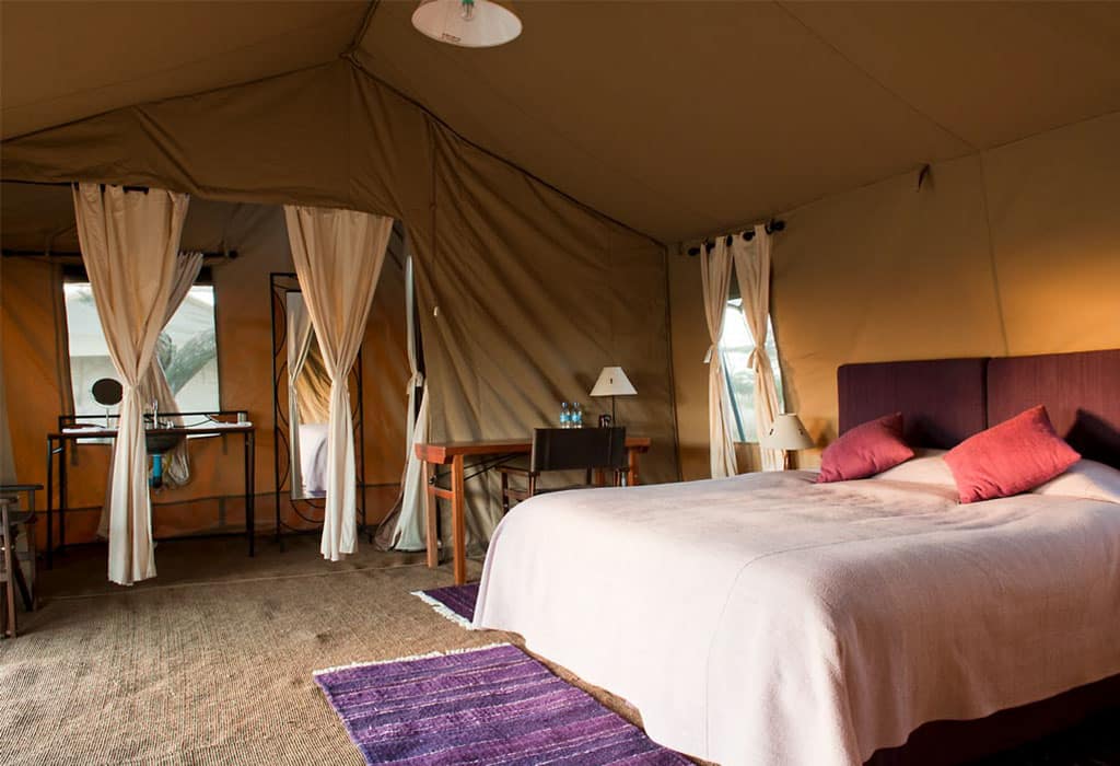 Mara-Under-Canvas-1