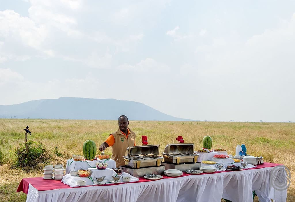 Serengeti-Serena-Safari-Lodge-5