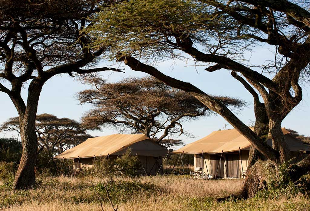 ndutu-under-canvas-2