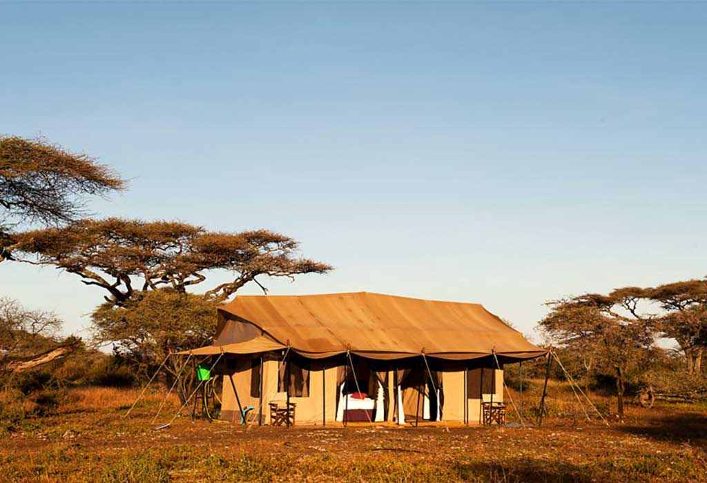 ndutu-under-canvas-6