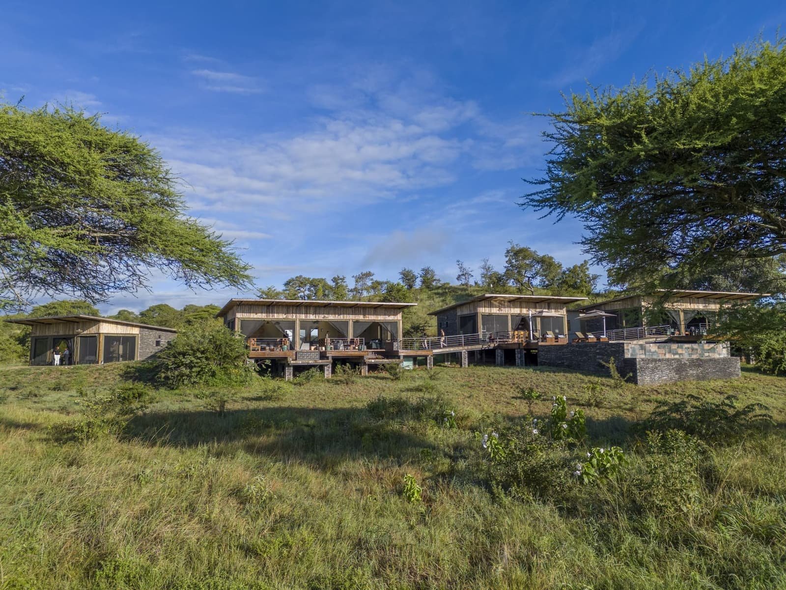Tarangire Elephant Springs