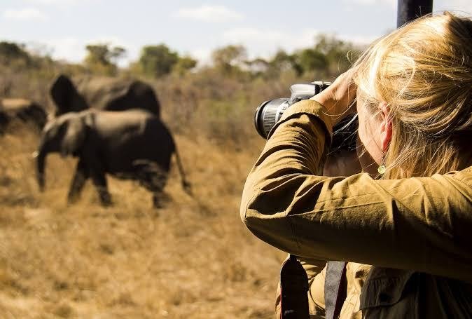 Photographer capturing wildlife from a safari vehicle