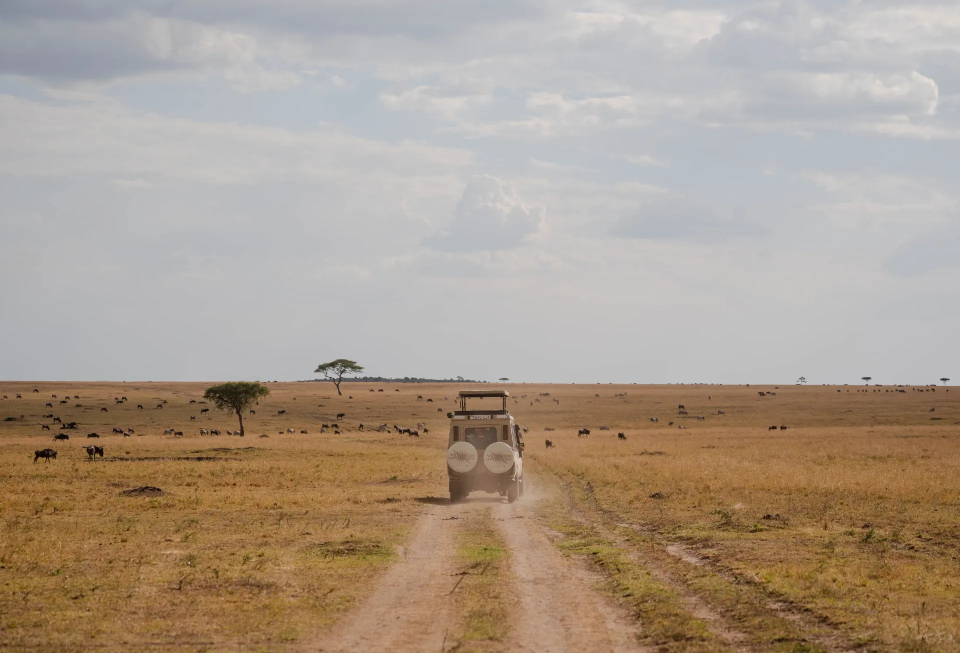 Williamson Adventures safari vehicle driving along a dirt track across the plains, with grazing herds and acacia trees