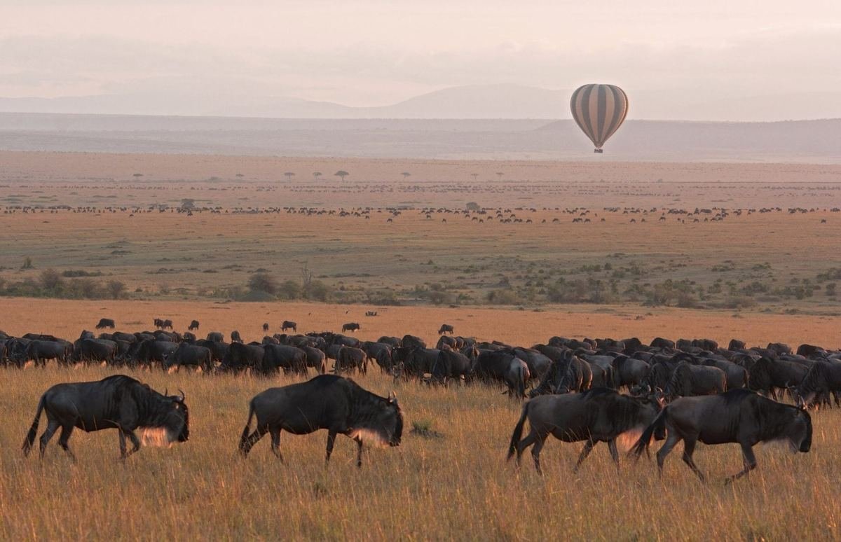 Tanzania