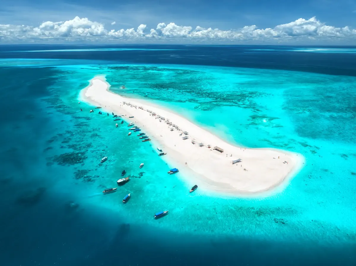 Bush & Beach Safaris