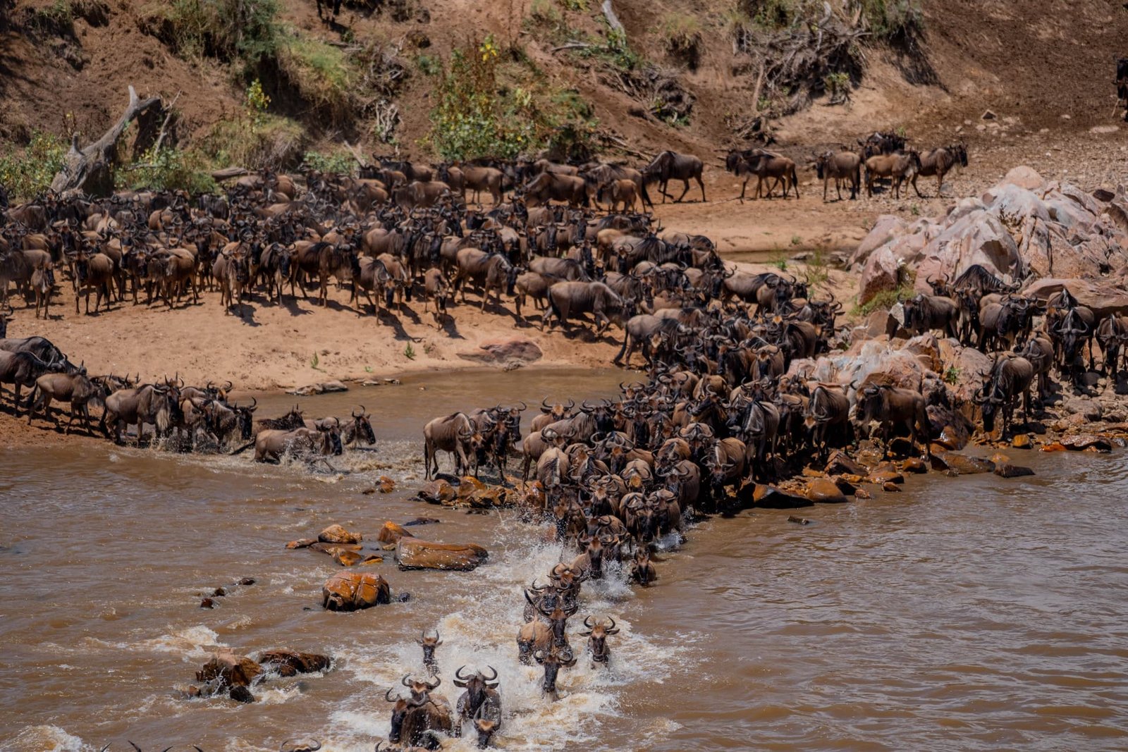 River Crossing Safaris
