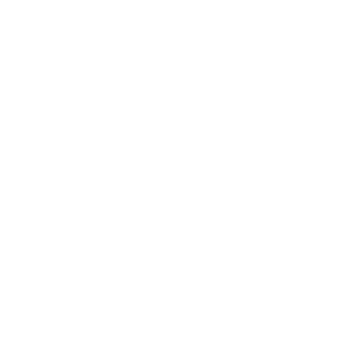 Williamson Adventures
