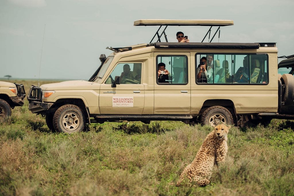 4 Days Luxury Great Migration Safari