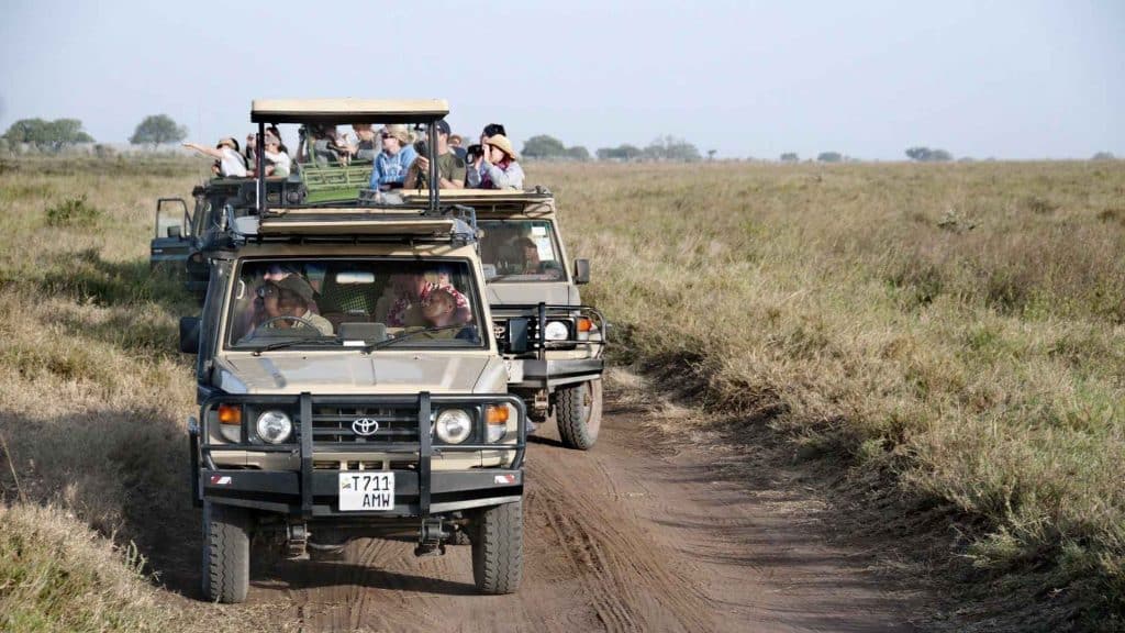 Small Group Safaris vs. Private Safaris