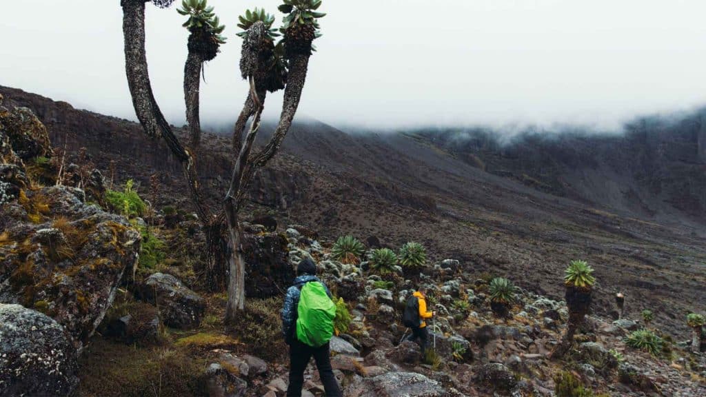 12 Things You Need to Know Before Climbing Kilimanjaro Mountain