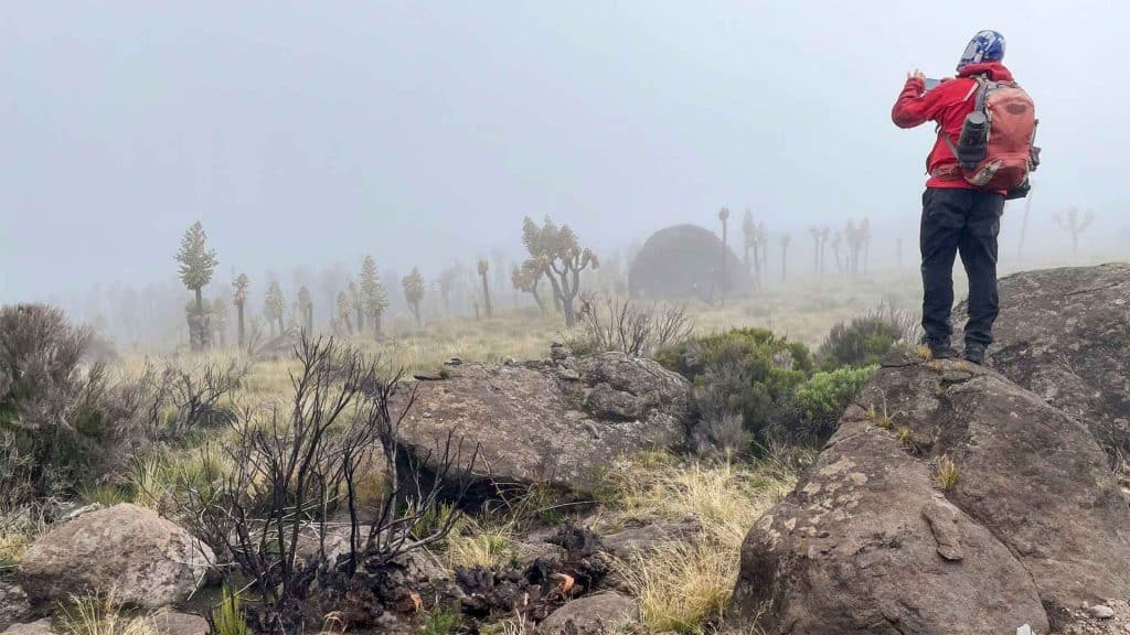 Understanding Kilimanjaro Weather Conditions