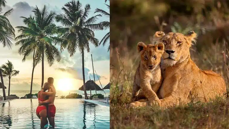 Combining Safari Tours and Zanzibar Packages