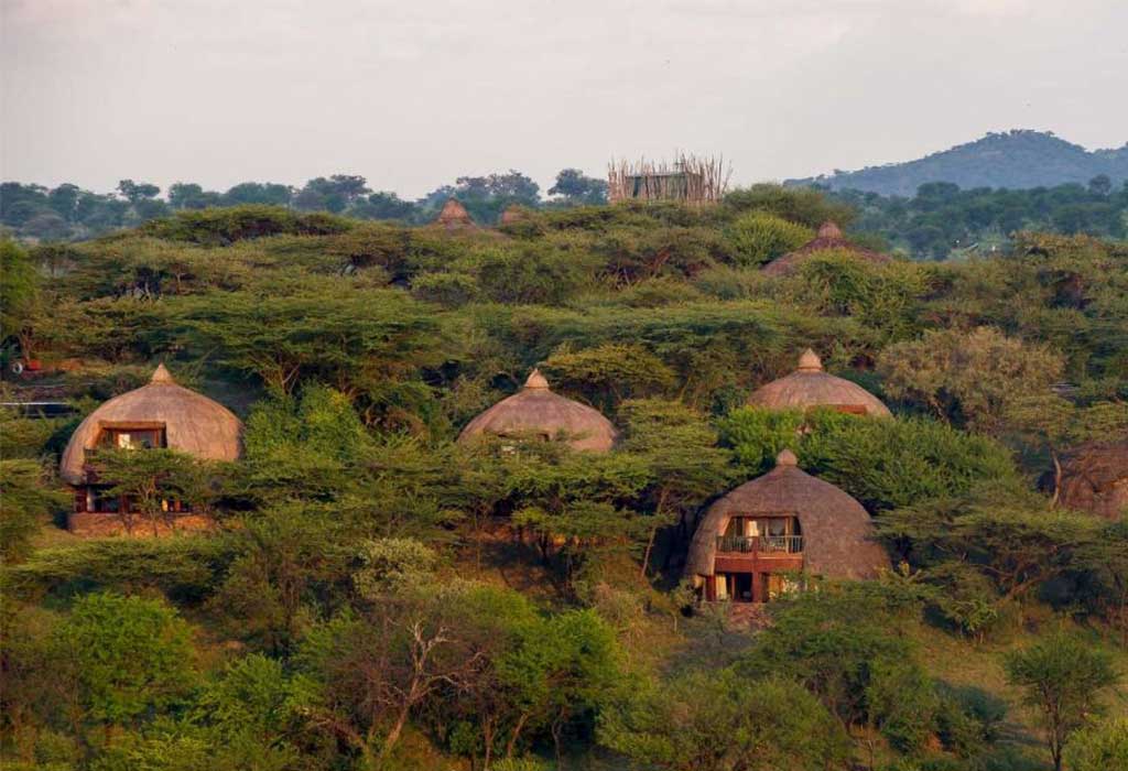 Serengeti-Serena-Safari-Lodge-2