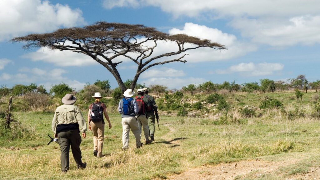 land safari
