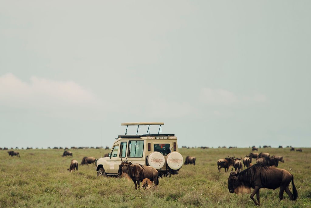 Safari trip to Africa