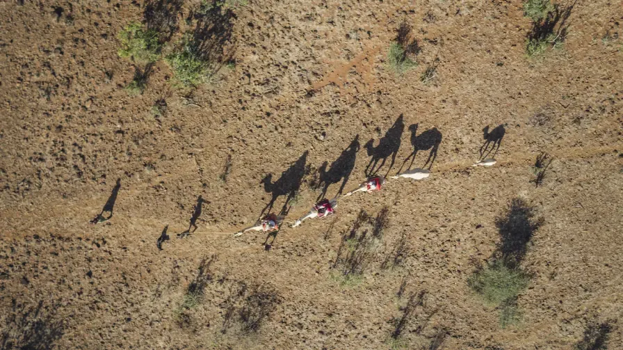 imgi_42_bb_ol_malo-23-low