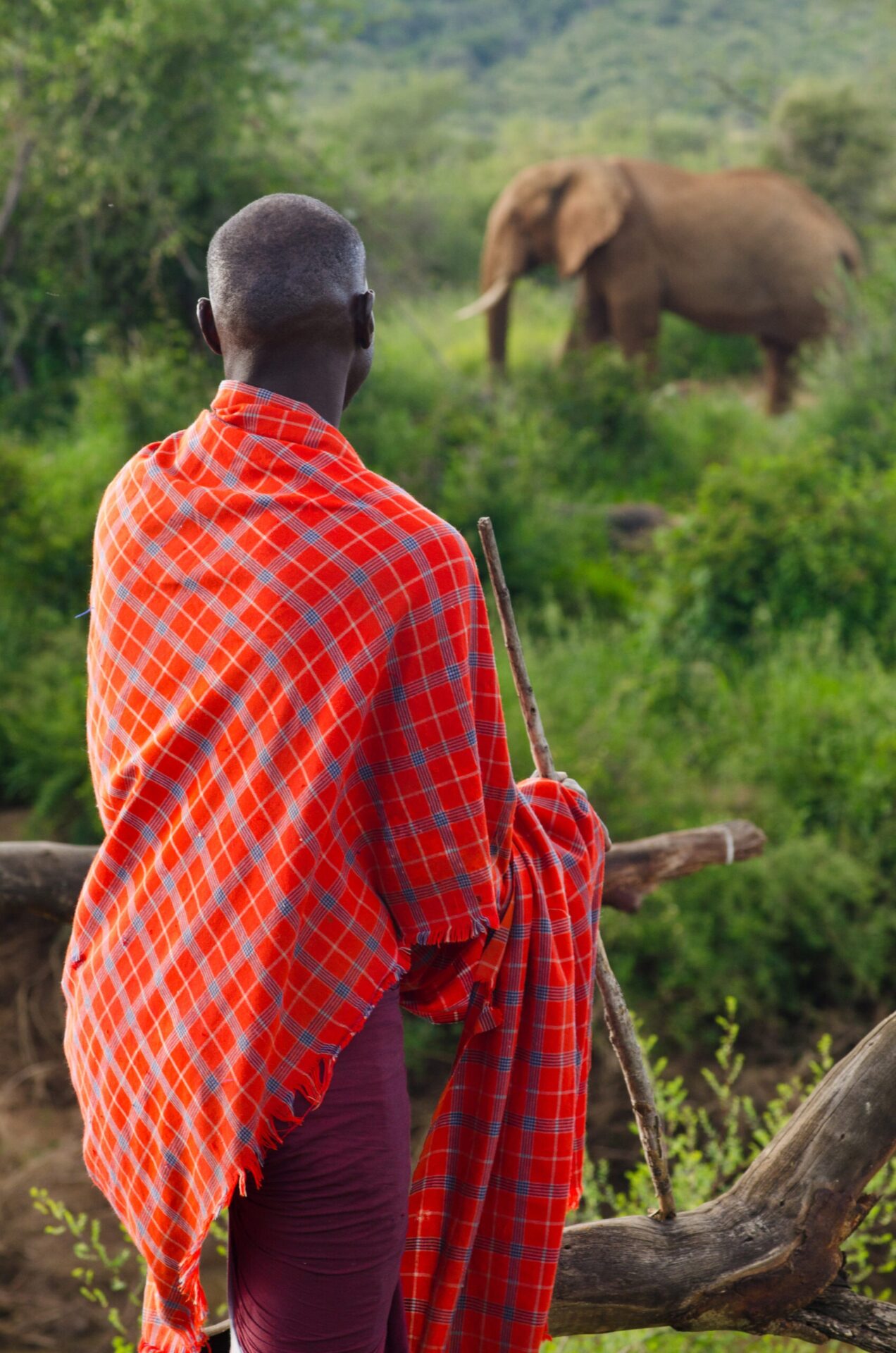 imgi_47_Masai-Mara-Wetu_2-scaled