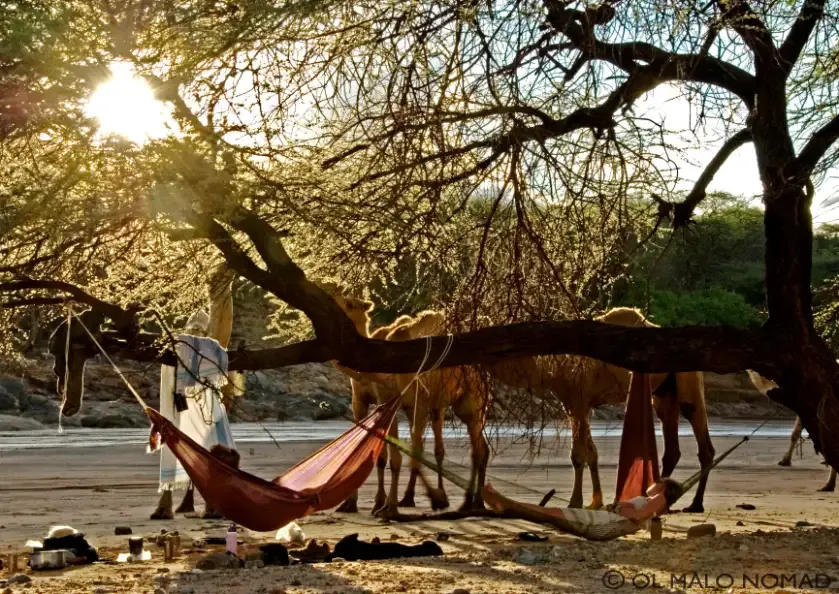 imgi_48_Ol-Malo-Nomad-Snooze.C