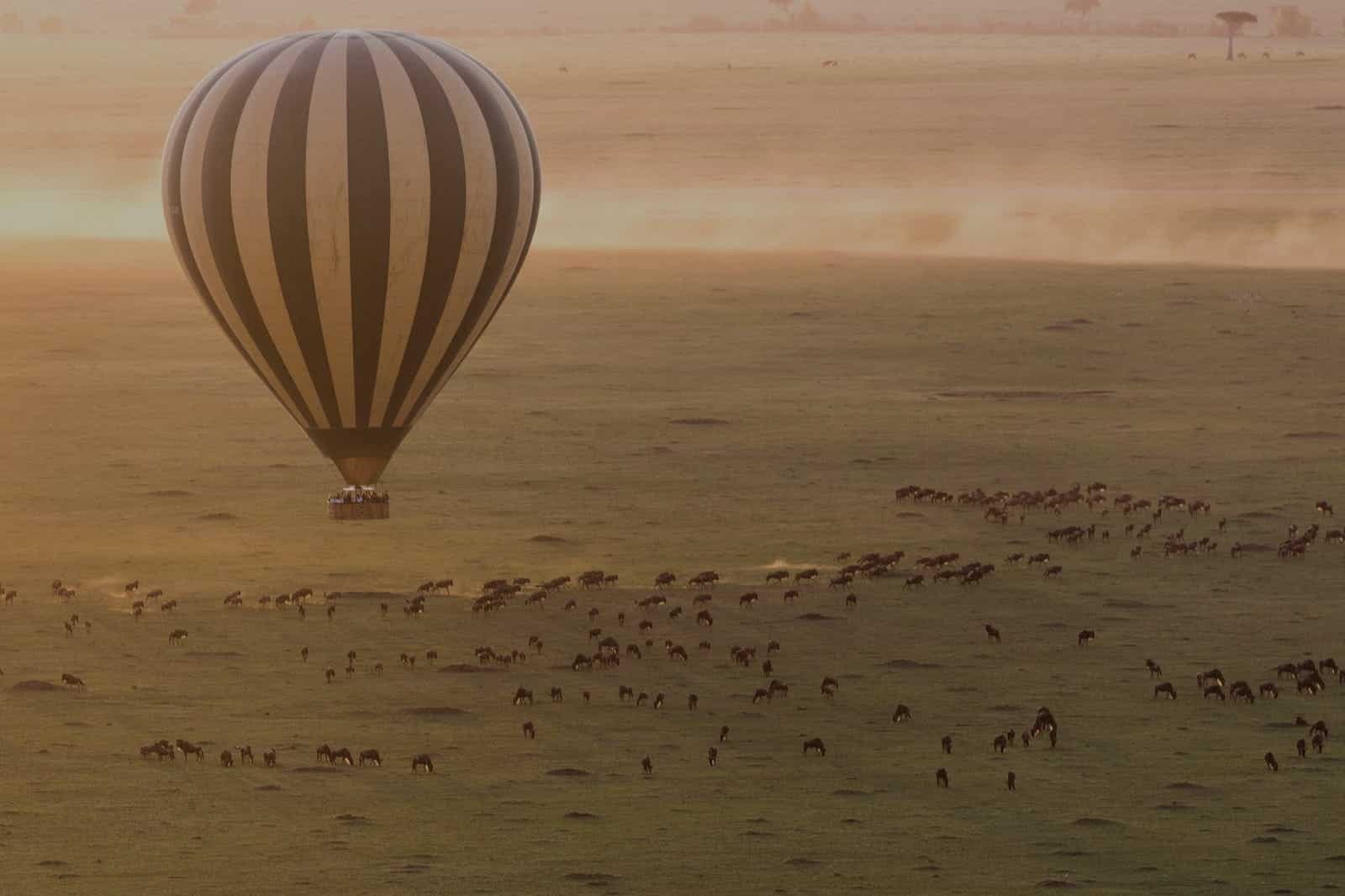 imgi_69_gorilla-trekking-great-migration