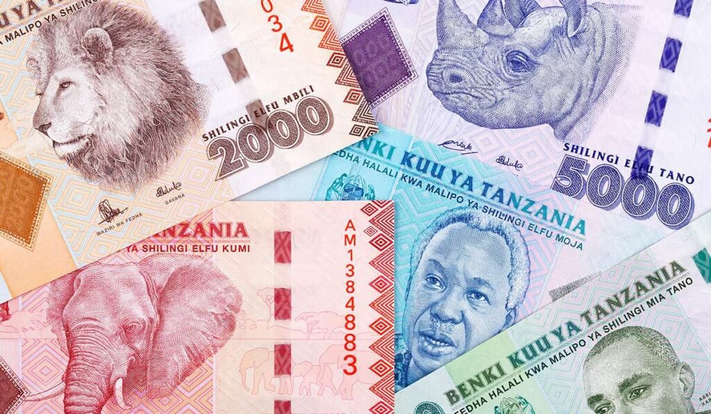 Money tips for travelers to Tanzania