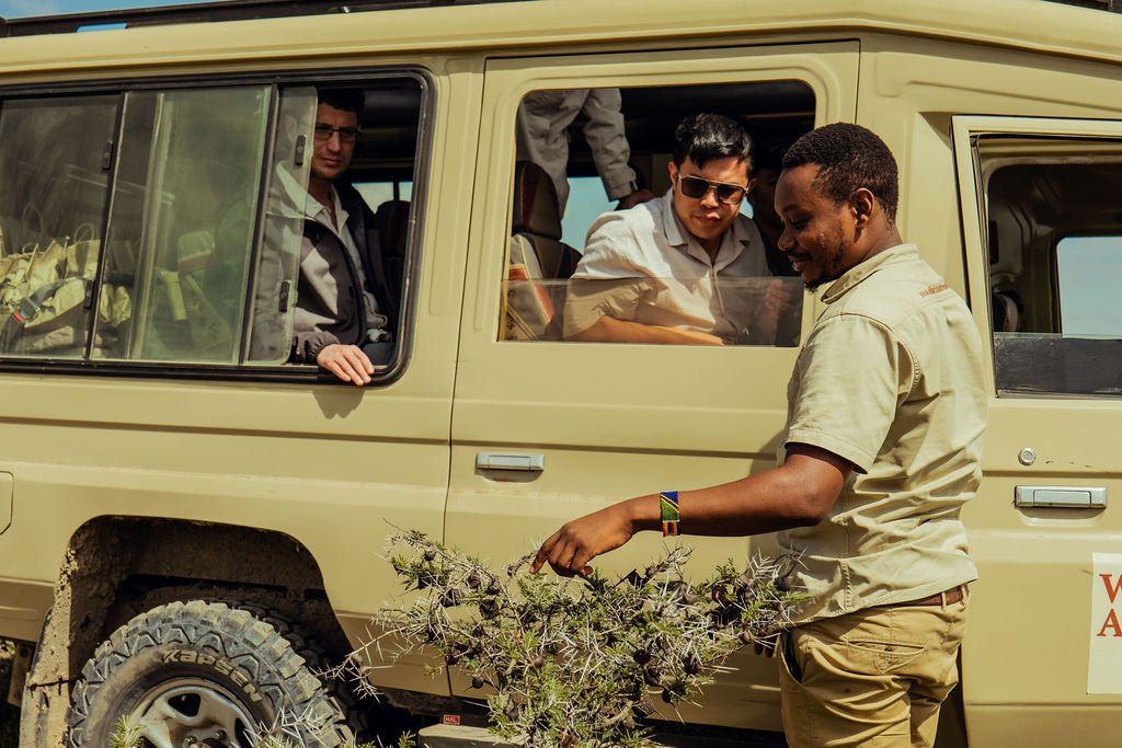 Best Safari Parks in Tanzania: Top Destinations for Wildlife Adventures