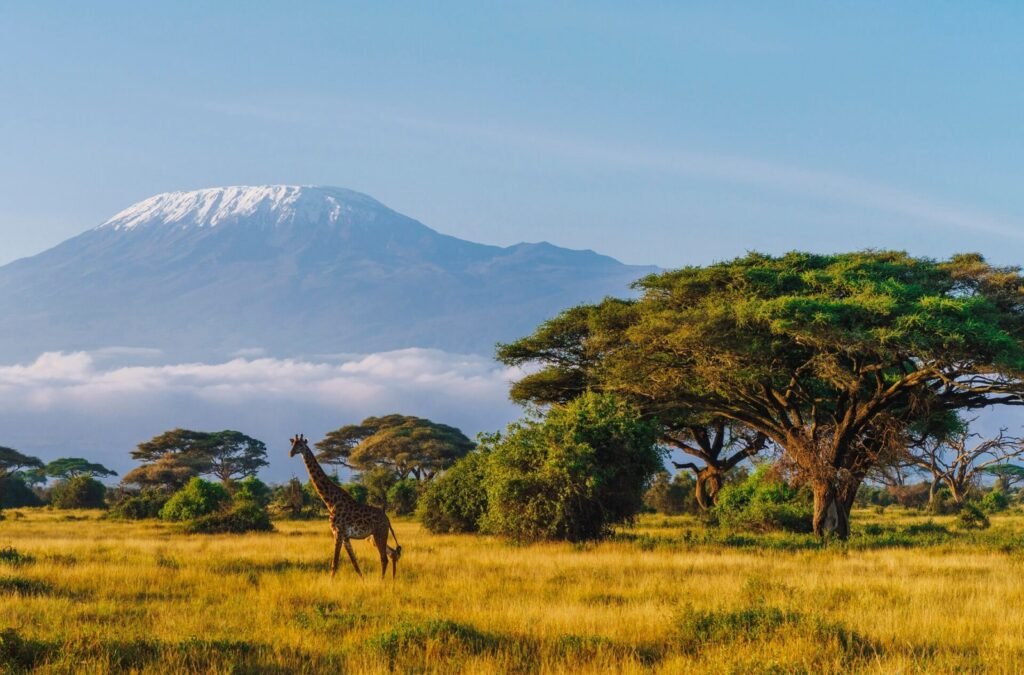Climbing Kilimanjaro in October: Weather, Routes, and Tips for a Successful Summit