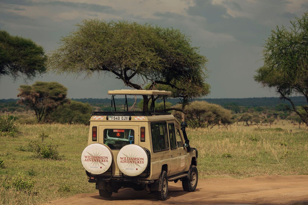 williamsonadventure 14